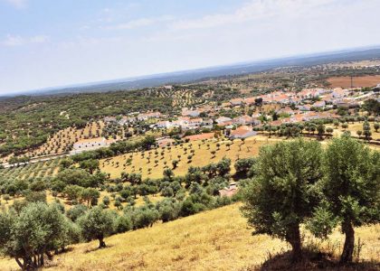 Arrendamento de Terras Agrícolas - Um Estudo Abrangente