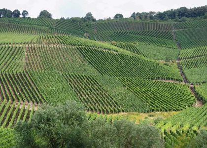 Registo de Terrenos em Portugal: O Caminho Completo