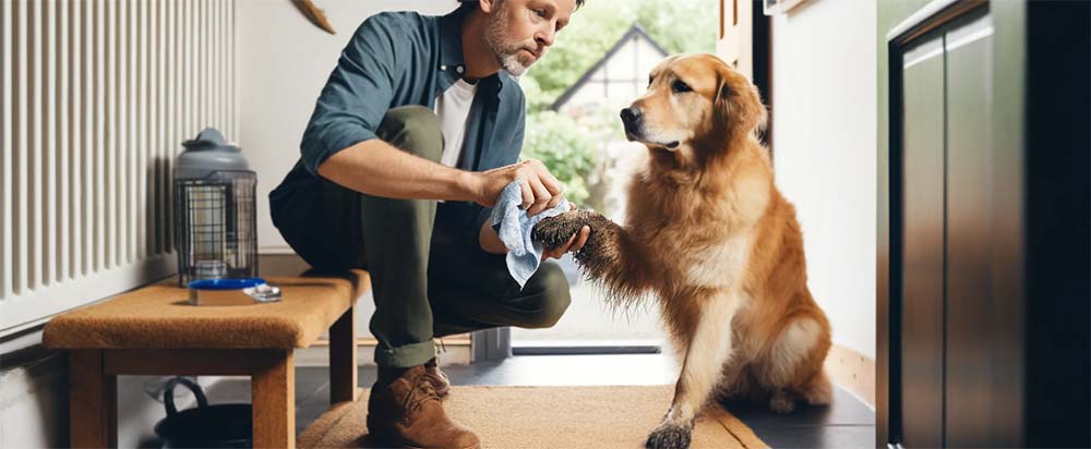 Estratégias para Manter Sua Casa Limpa com Animais de Estimação